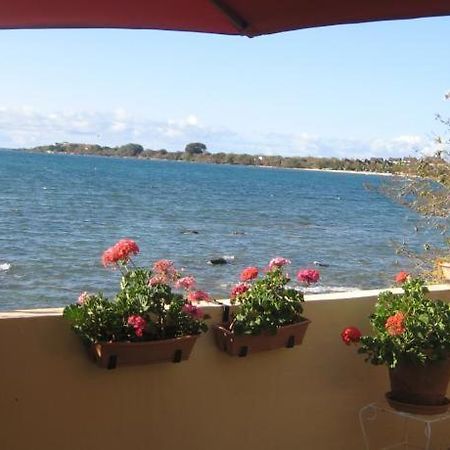Le Cactus Guesthouse Terre Rouge  Buitenkant foto