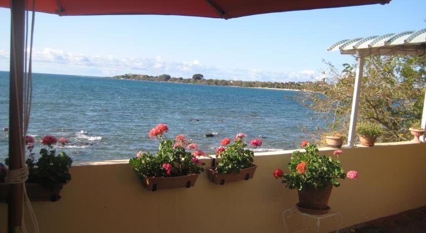 Le Cactus Guesthouse Terre Rouge  Buitenkant foto